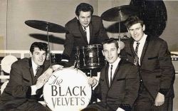 blackvelvets