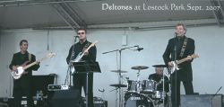 deltones3