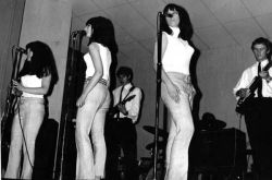 dollies6