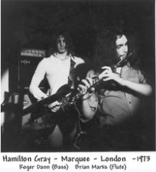 hamiltongray