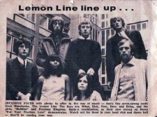 lemonline3