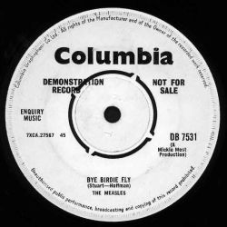 measles_demo1_b