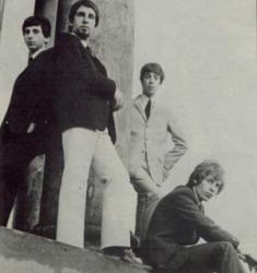 mockingbirds