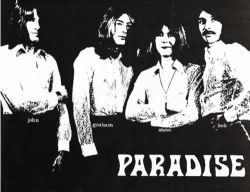 paradise6