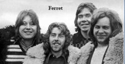 ferret