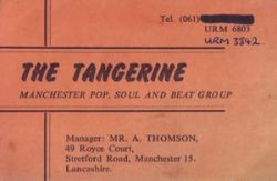 tangerine11