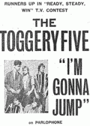 toggeryad