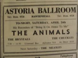 Animals