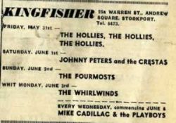 kingfisher1